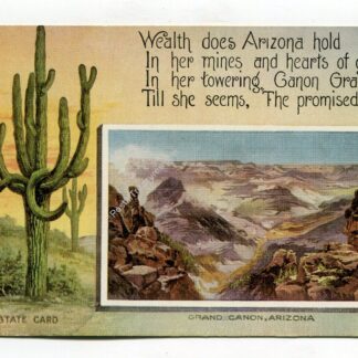 arizona-state-card-3093
