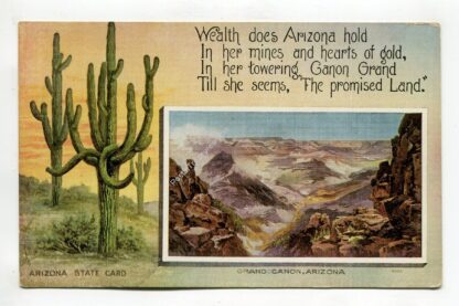 arizona-state-card-3093