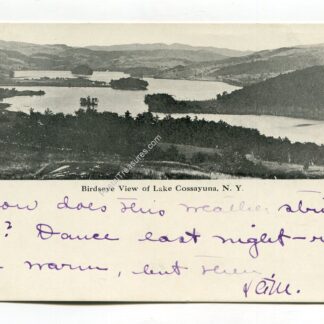 birdseye-view-of-lake-cossayuna-new-york-100