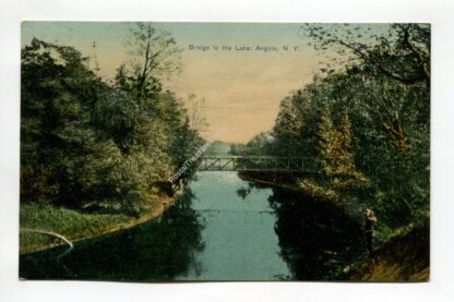 bridge-to-the-lake-angola-new-york-50