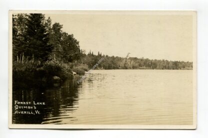 forest-lake-quimby-s-averill-vermont-32