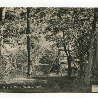 island-park-walton-new-york-98