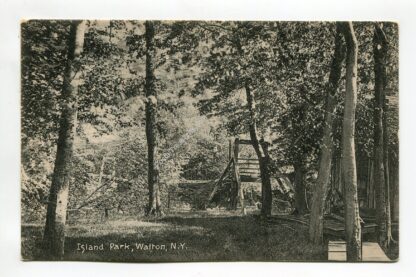 island-park-walton-new-york-98