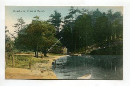 kingsbury-s-grove-and-beach-127