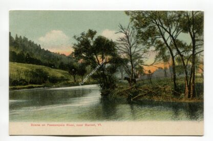 scene-on-passumpsic-river-near-barnet-vermont-18