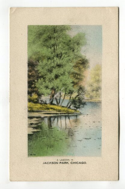 a-lagoon-in-jackson-park-chicago-236