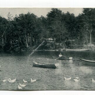 cove-hampton-ponds-160