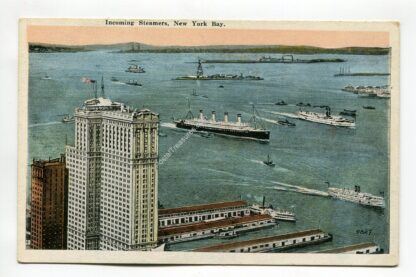 incoming-steamers-new-york-bay-303
