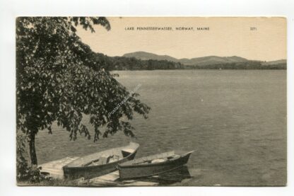lake-pennesseewassee-norway-maine-284