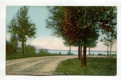 lake-view-from-boulevard-cadillac-michigan-243