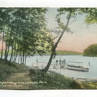 lake-wangumbaug-from-lakeside-park-175