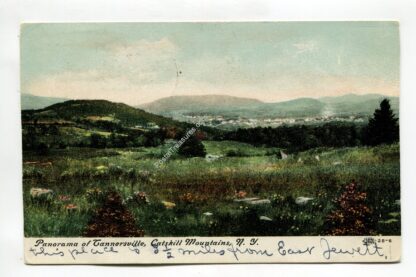 panorama-of-tannersville-catskill-mountains-new-york-320
