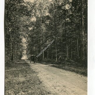 road-through-woods-pittsgrove-new-jersey-190