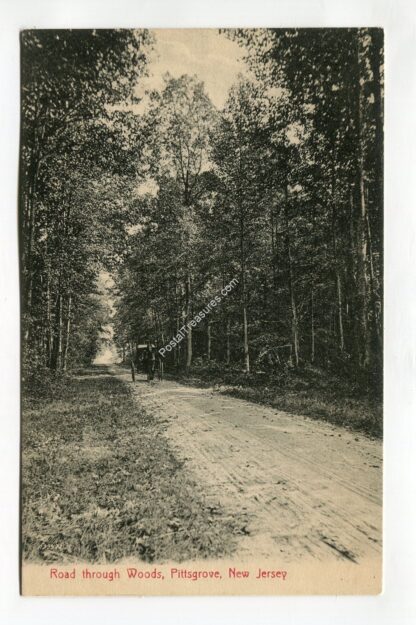 road-through-woods-pittsgrove-new-jersey-190