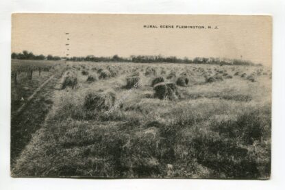 rural-scene-flemington-new-jersey-180