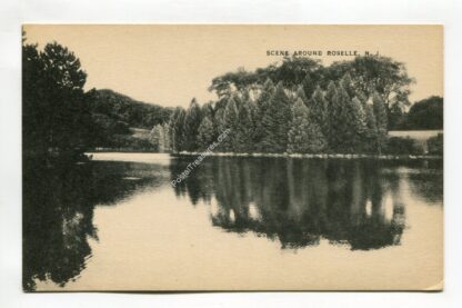 scene-around-roselle-new-jersey-196