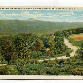 scene-on-fenimore-cooper-highway-adirondack-mts-new-york-313