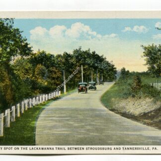 a-beauty-spot-on-the-lackawanna-trail-between-stroudsburg-and-tannersville-pennsylvania-502