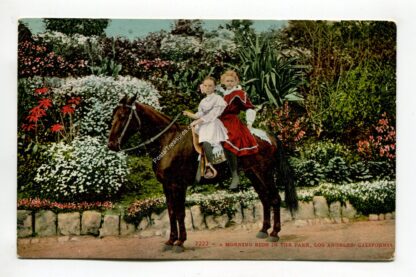 a-morning-ride-in-the-park-los-angeles-california-582