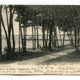 along-the-beach-wequetonsing-michigan-438