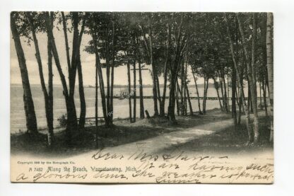 along-the-beach-wequetonsing-michigan-438