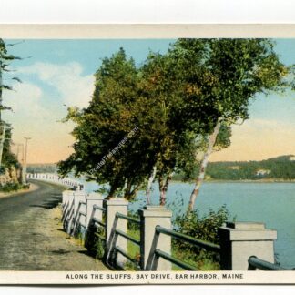 along-the-bluffs-bay-drive-bar-harbor-maine-352