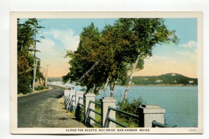along-the-bluffs-bay-drive-bar-harbor-maine-352