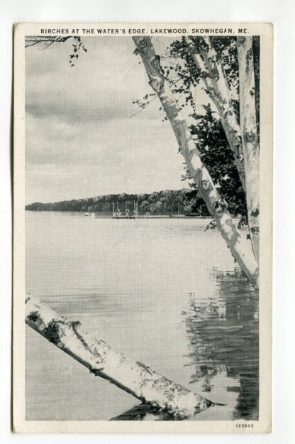 birches-at-the-water-s-edge-lakewood-skowhegan-maine-365