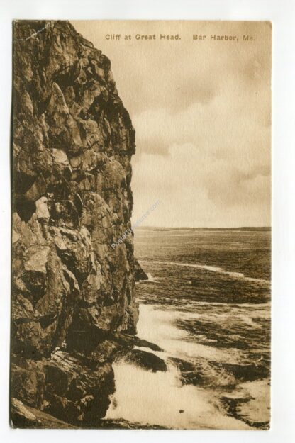 cliff-at-great-head-bar-harbor-maine-348