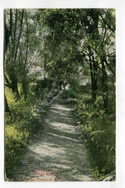 lovers-lane-albion-michigan-435