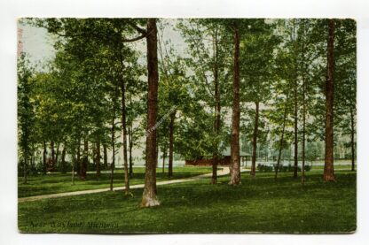 near-wayland-michigan-442