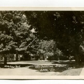 residential-street-lena-illinois-457
