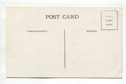 star-island-in-cass-lake-minnesota-a20606