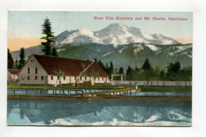state-fish-hatchery-and-mt-shasta-california-592