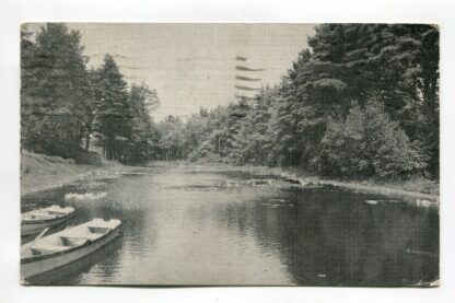 pond-stanley-park-703