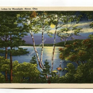 portage-lakes-by-moonlight-akron-ohio-765
