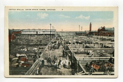 cattle-stalls-union-stock-yards-chicago-1047