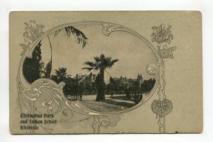 chihuahua-park-and-indian-school-riverside-898