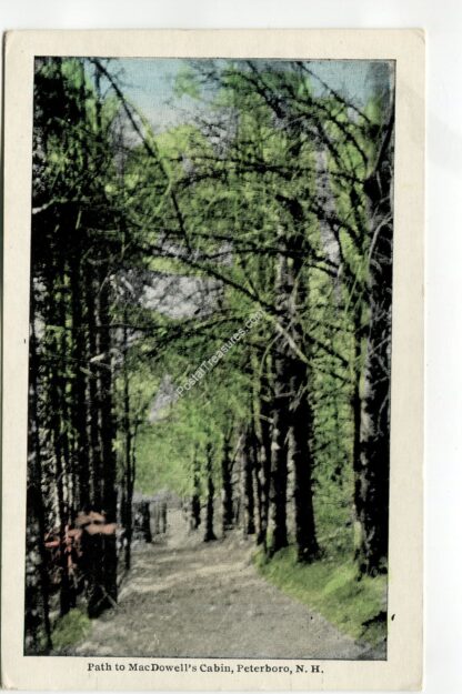 path-to-macdowell-s-cabin-peterboro-new-hampshire-1003