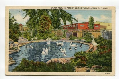 water-fowl-on-pond-at-clinch-park-traverse-city-michigan-951