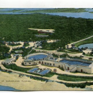air-view-of-marineland-florida-1164