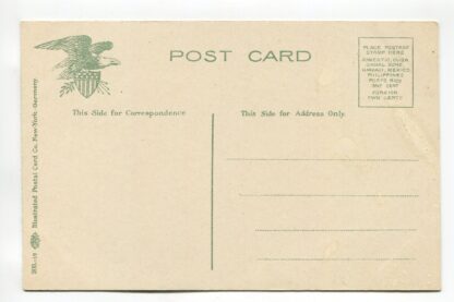 elephant-a19337
