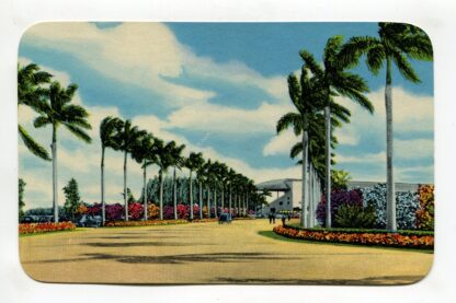 entrance-to-gulfstream-park-race-course-btwn-hollywood-and-miami-fla-1236