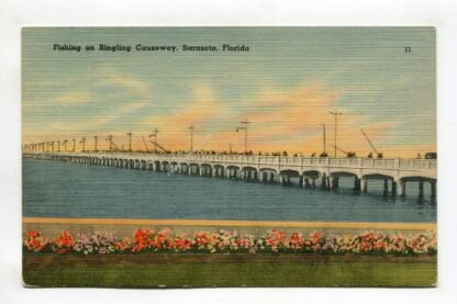 fishing-on-ringling-causeway-sarasota-florida-1142