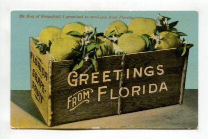 greetings-from-florida-1238
