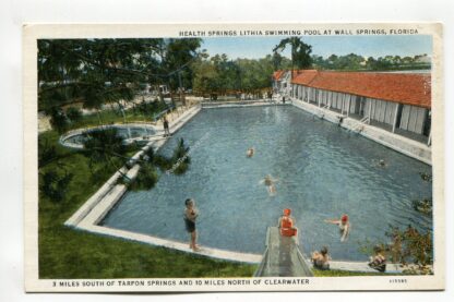 health-springs-lithia-swimming-pool-at-wall-springs-florida-1250