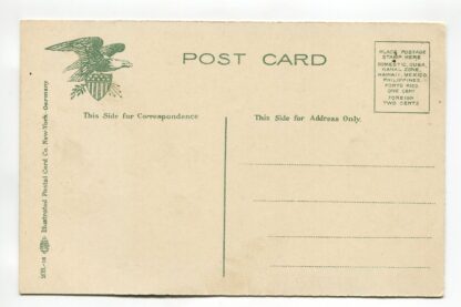 lioness-a19350