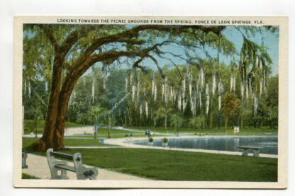 looking-towards-the-picnic-grounds-from-the-spring-ponce-de-leon-springs-florida-1266