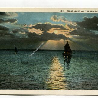 moonlight-on-the-ocean-florida-1242