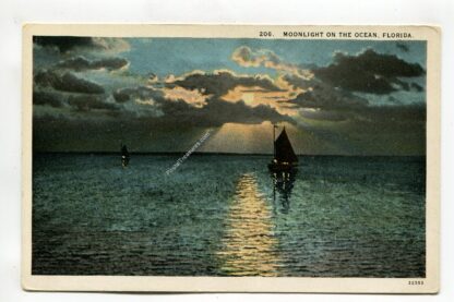 moonlight-on-the-ocean-florida-1242